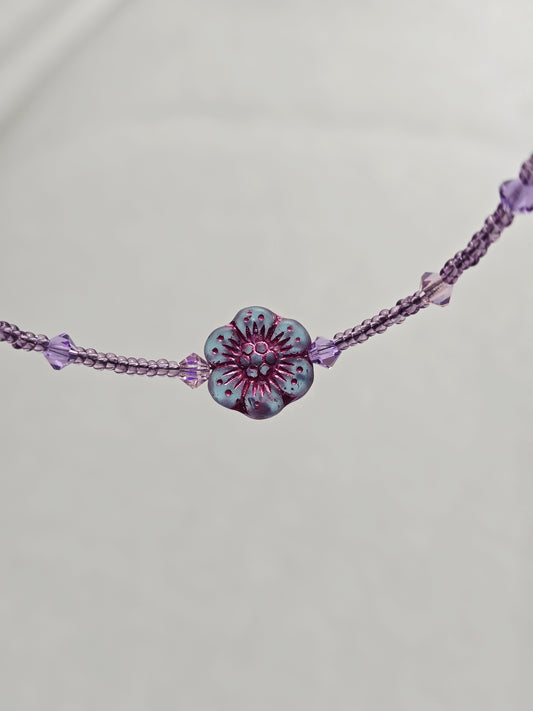 Lilac Bloom